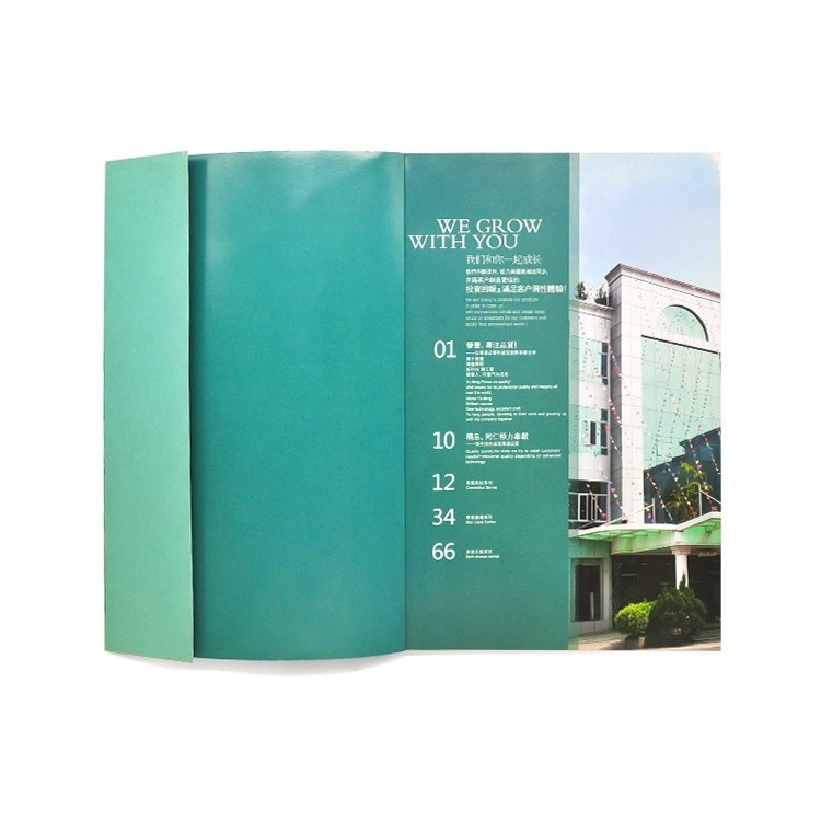 Pencetakan Buku Gambar Berwarna Disesuaikan 4c+4c CMYK Color ISO Approval