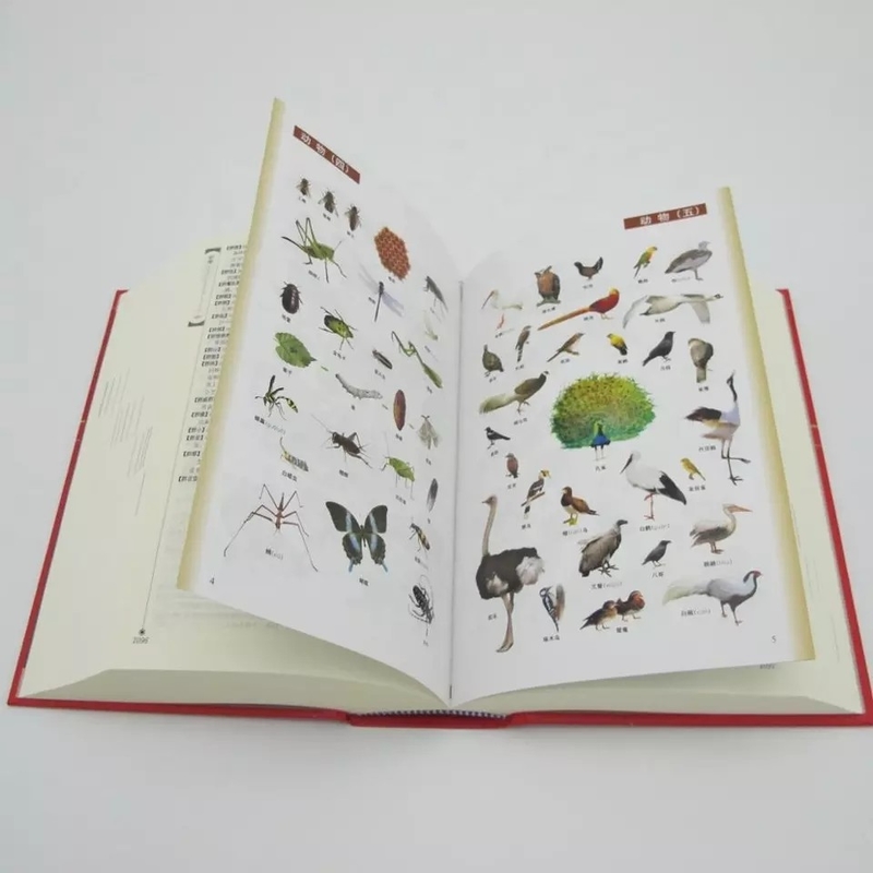 Glossy / Matte Lamination Printable English Dictionary Pencetakan Digital Berwarna-warni